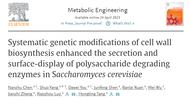 Metab. Eng. | Systematic Modifications of Cell Wall Biosynthetic Pathway Enhanced the Extracellular Secretion and Surface-display of Recombinase in Saccharomyces cerevisiae