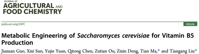 JAFC | Efficient Synthesis of Vitamin B5 by Saccharomyces Cerevisiae Cell Factory