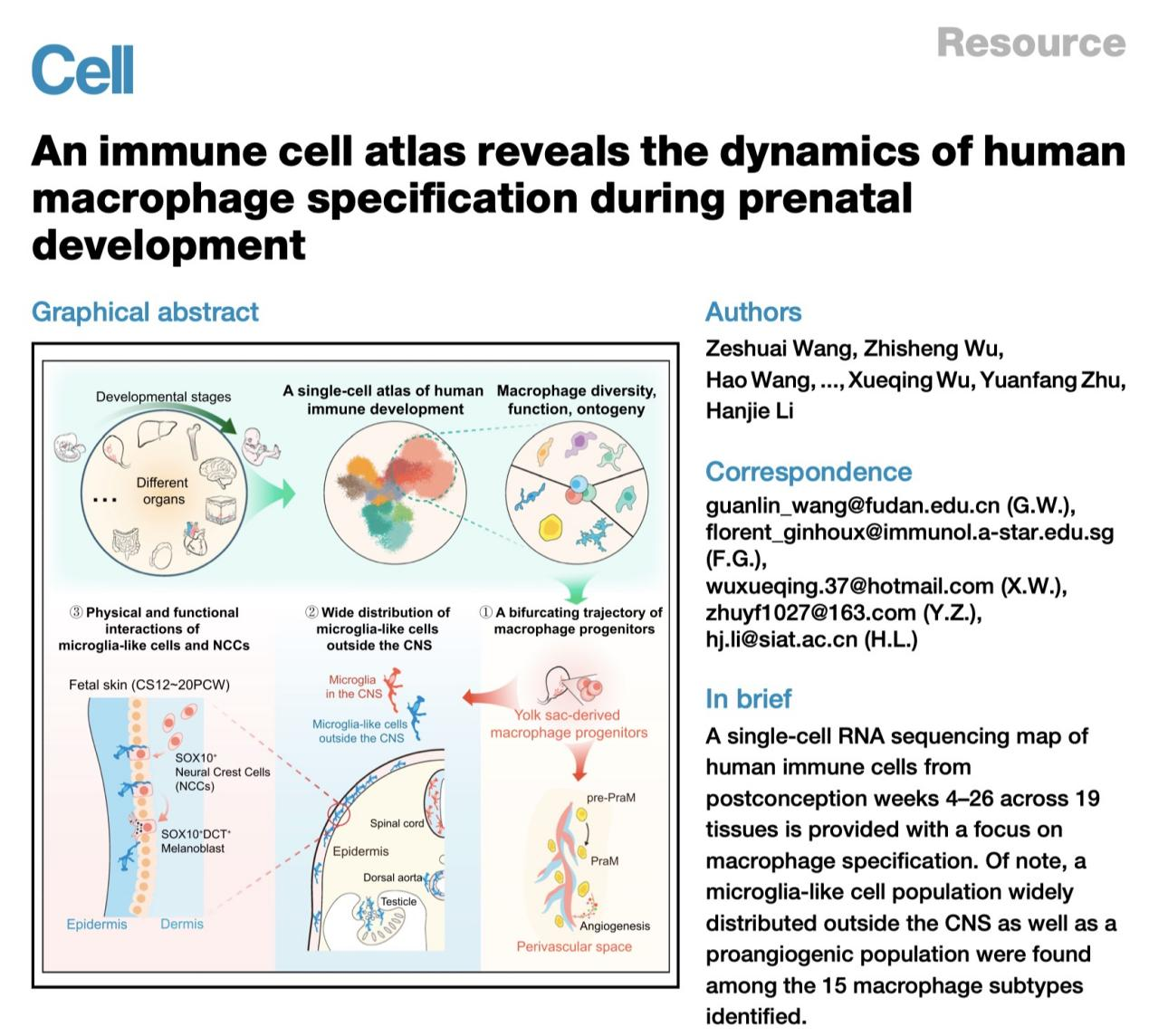 CELL | 深圳合成生物大设施助力李汉杰团队构建人体免疫发育细胞图谱