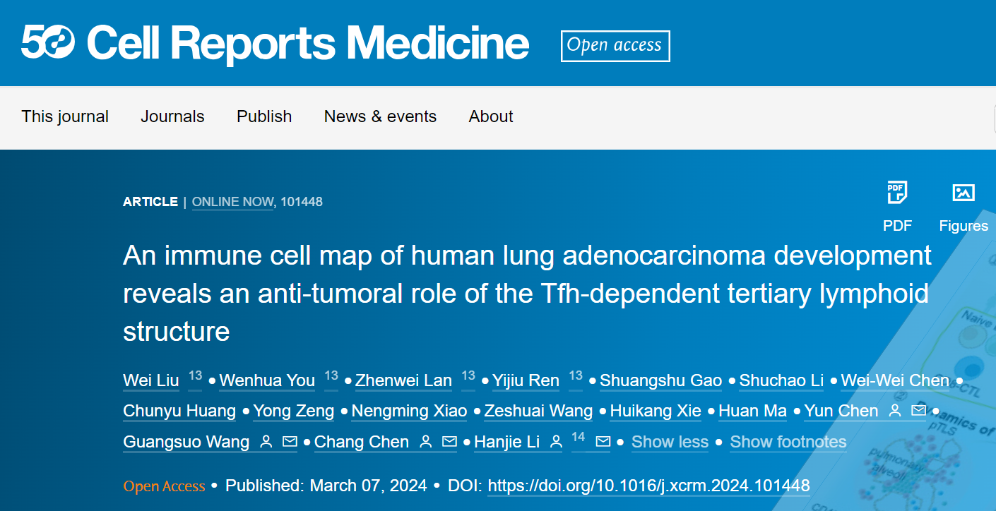 Cell Reports Medicine | 李汉杰团队等构建早期肺腺癌免疫动态图谱并揭示Tfh细胞抗肿瘤机制