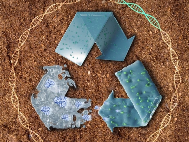 Pollution Solution: Scientists Develop Living Plastics That Degrade in Compost or Erosion