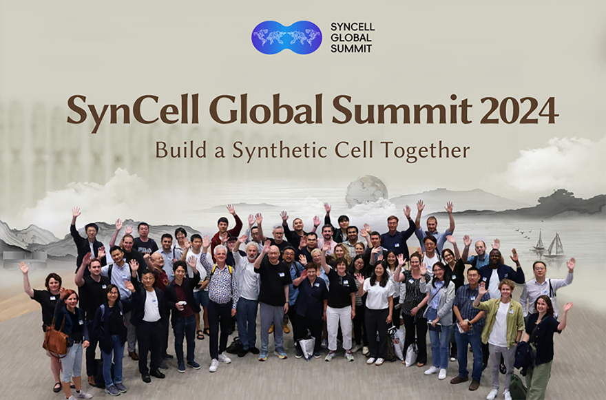 test----SynCell Global Summit 2024