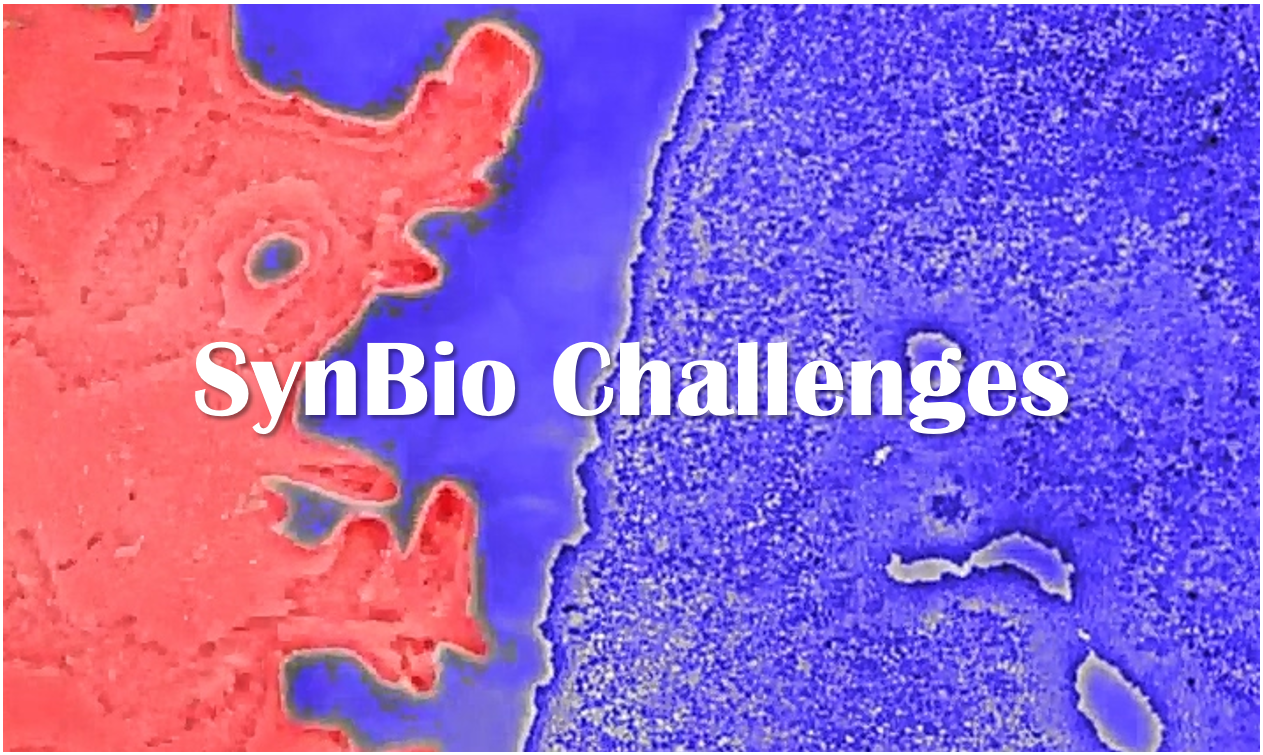 SynBio Challenges