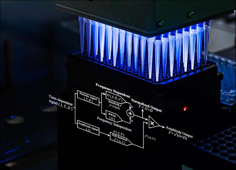 From equations to living cells
