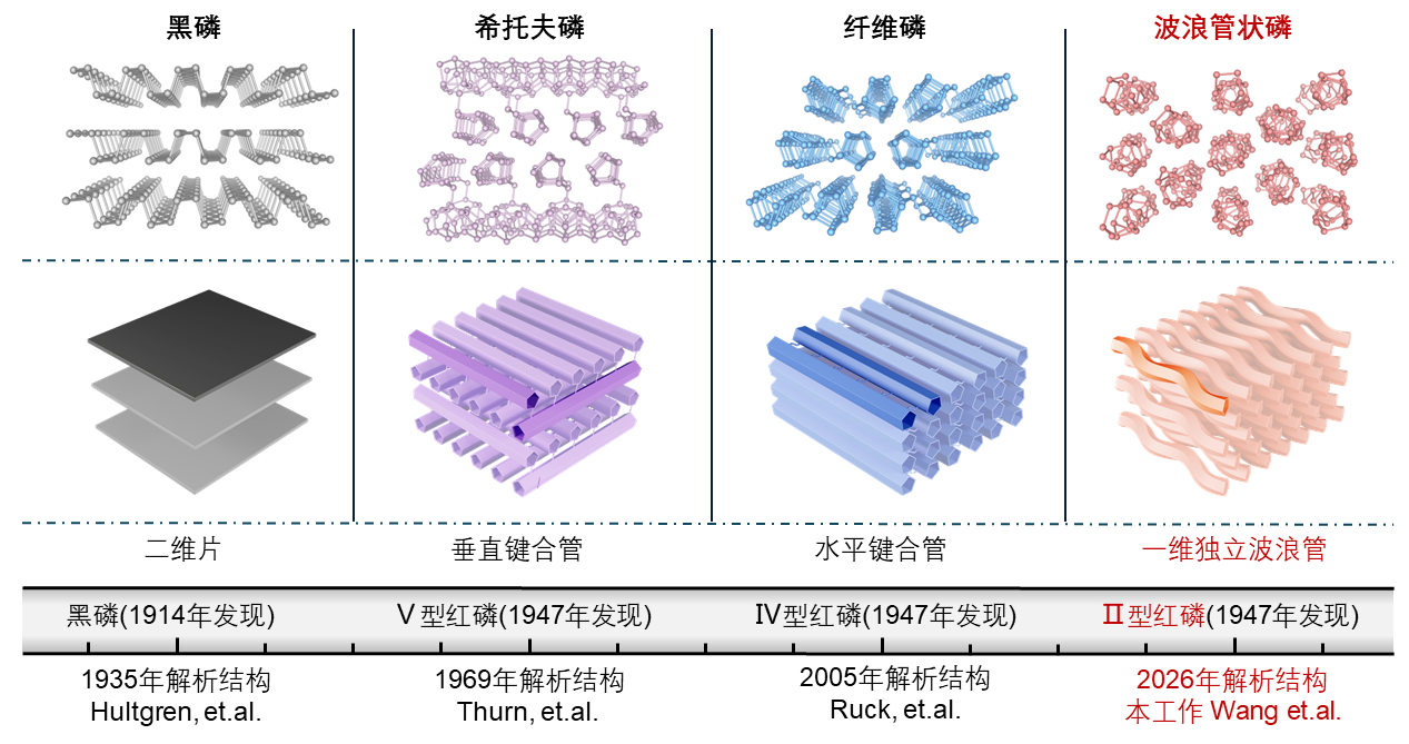 Nature Communications | 数十年结构之谜破解：管状红磷展现强光学各向异性