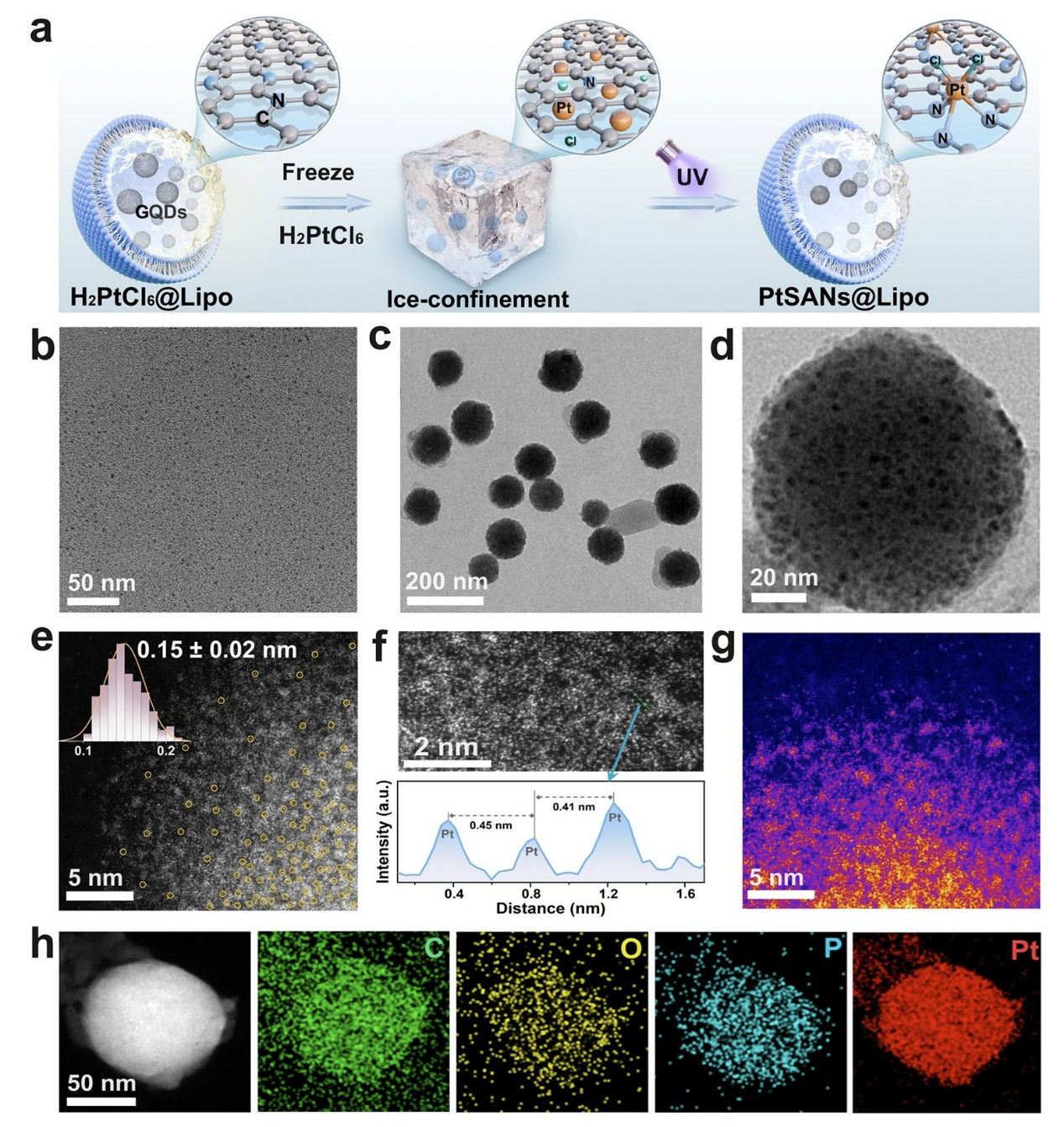 Nano-Micro Letters | 基于轴向氯配位与脂质体非接触封装协同策略实现高活性、高稳定单原子纳米酶及超灵敏病毒检测