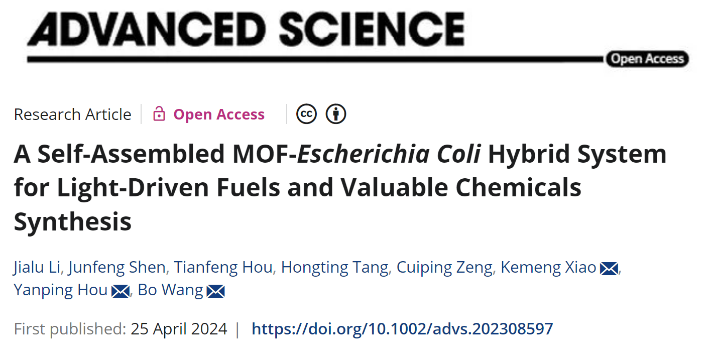 Adv Sci | Light-driven Synthesis of Fuels and High-value Chemicals with an Artificial Hybrid