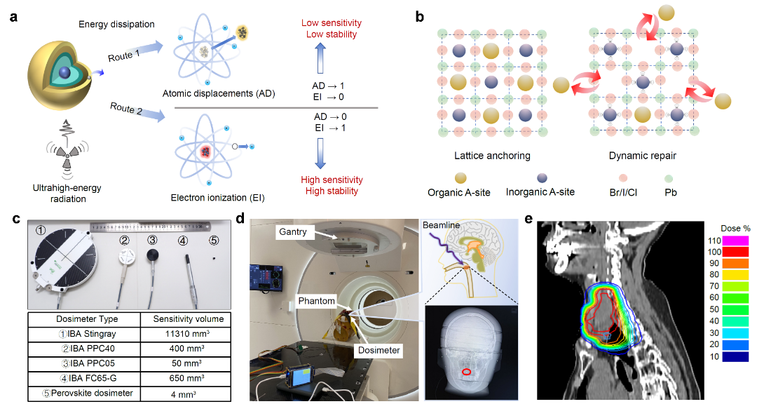 Nature Photonics | 动态自修复钙钛矿X射线探测器实现精准放疗剂量监测