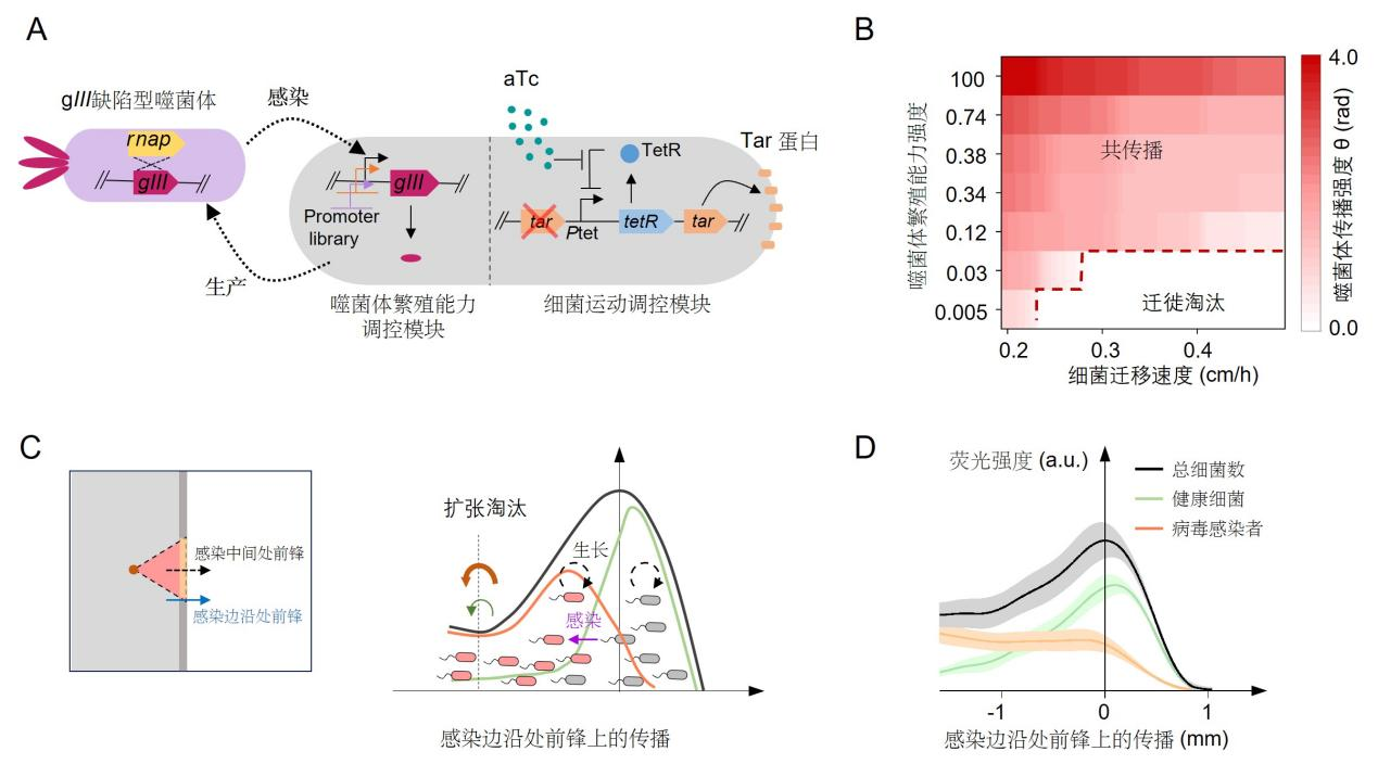 图片 2_1733290620462.png