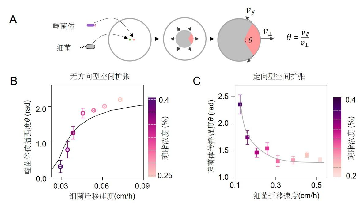 图片 1_1733290631618.png