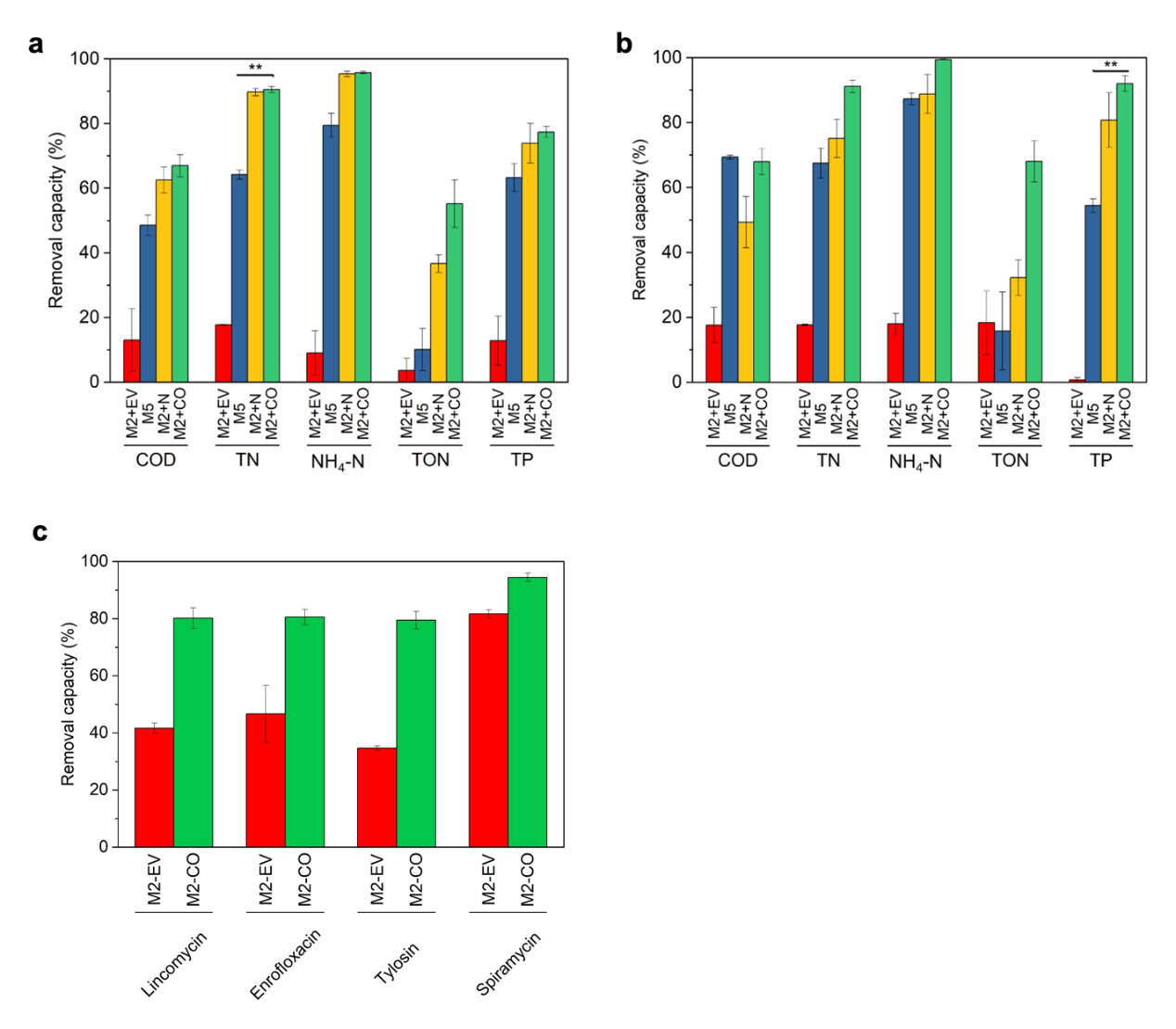图片 10_1735616640651.png
