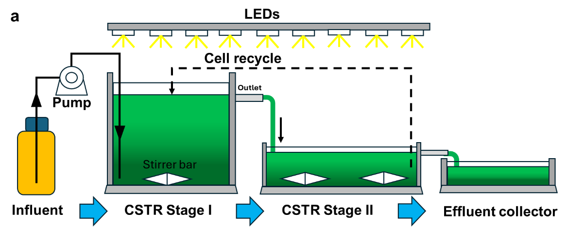 图片 6_1735616950403.png