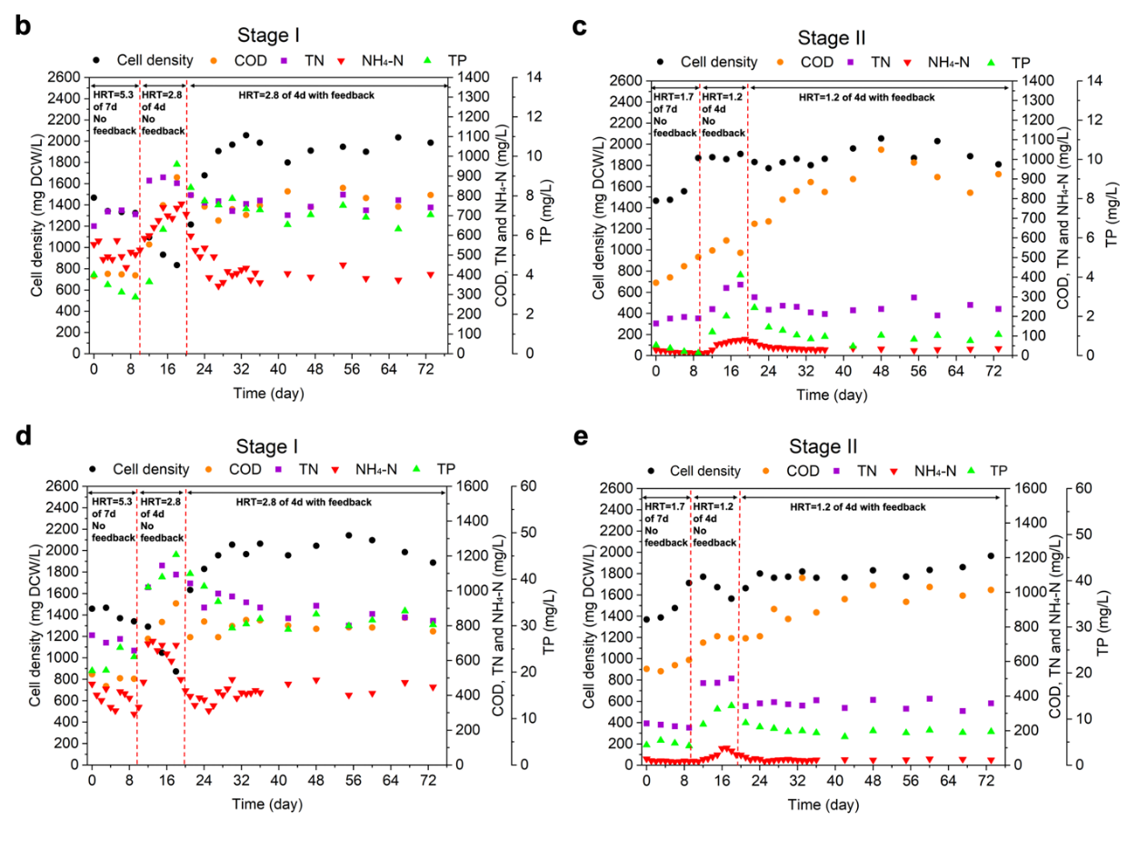图片 7_1735616956164.png