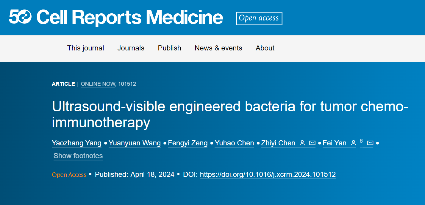Cell reports medicine | 超声可视化在体调控肿瘤内细菌基因表达治疗肿瘤