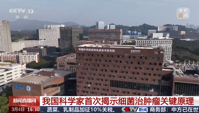 央视报道 | 首次揭示细菌治肿瘤关键原理