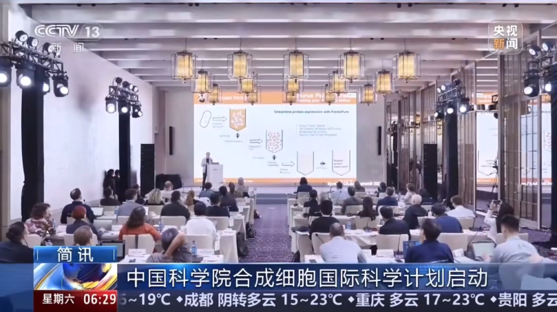 央视新闻 | 中国科学院合成细胞国际科学计划启动