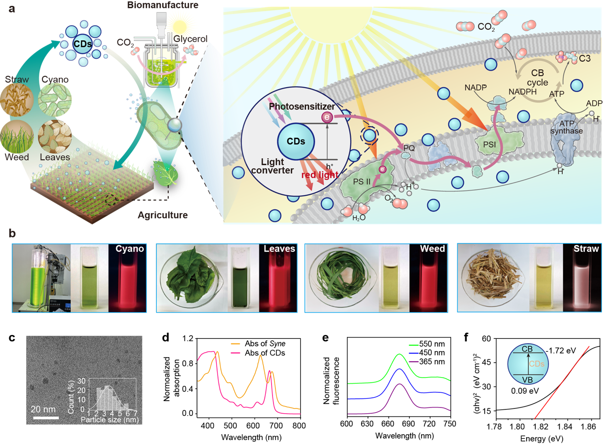 Communications Materials | 高翔/杨琛团队合作：开发碳基纳米材料增强植物光合作用，加速纳米技术在农业领域应用