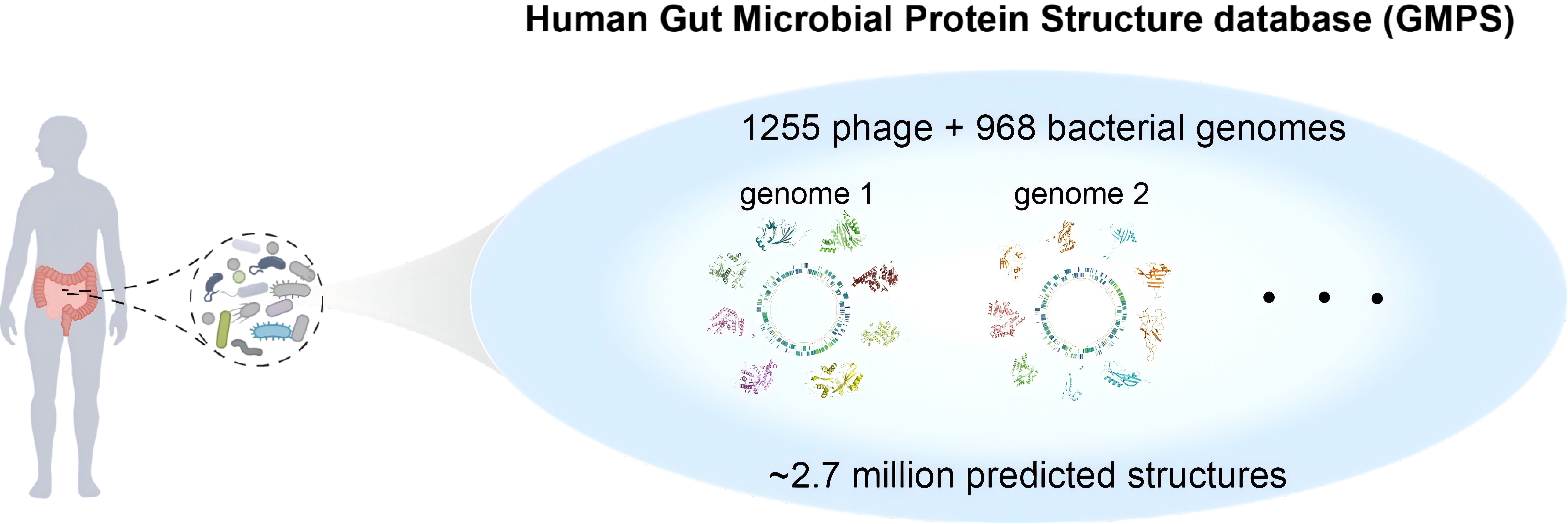 Cell Host & Microbe | 从“序列检索”到“结构检索”—肠道微生物组功能研究新范式