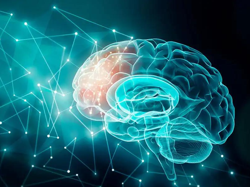 Centre for Neurodevelopmental and Neurodegenerative Diseases