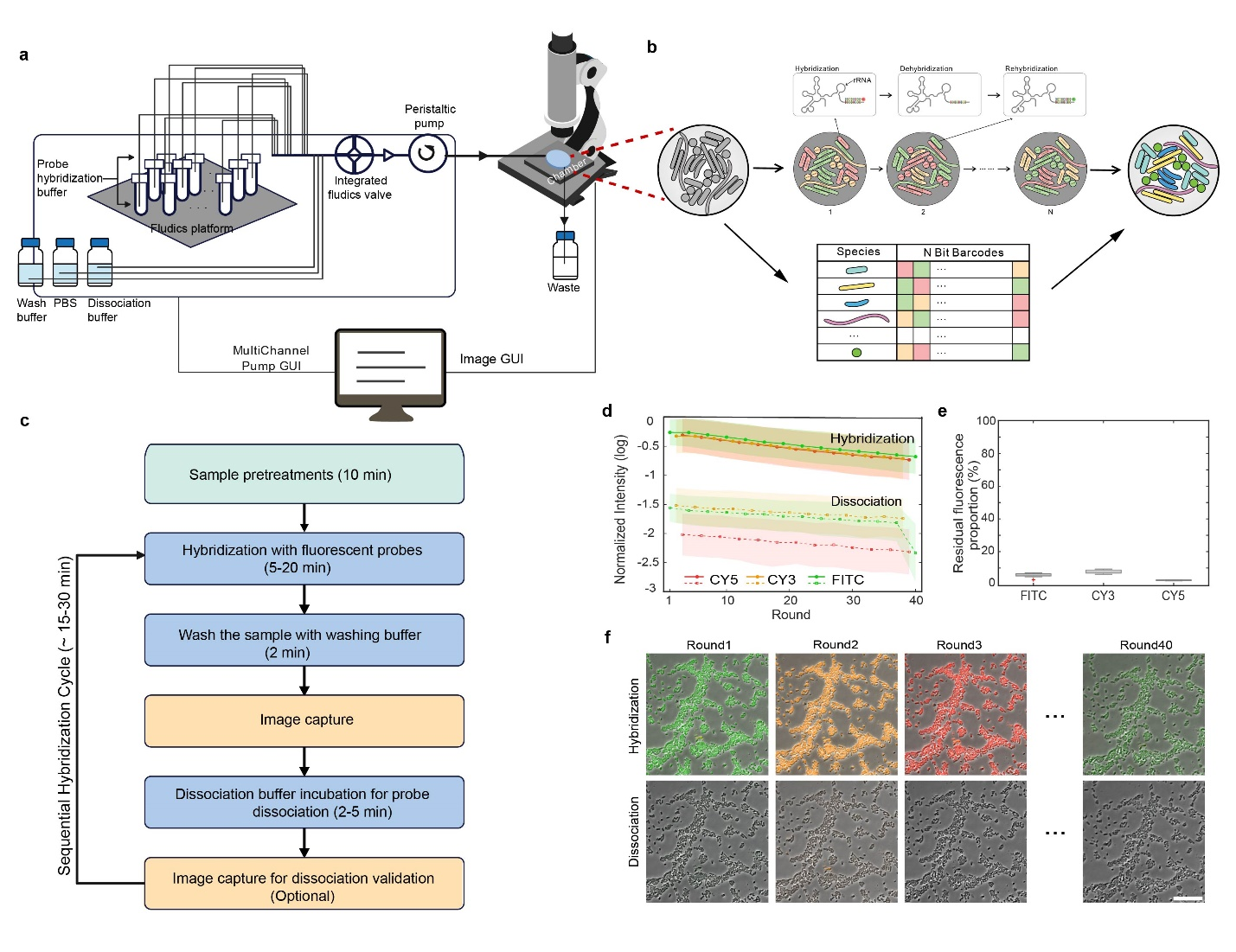 Cell Reports Methods | 定量合成生物学全国重点实验室戴磊课题组开发微生物组自动化空间成像平台SEER-Map