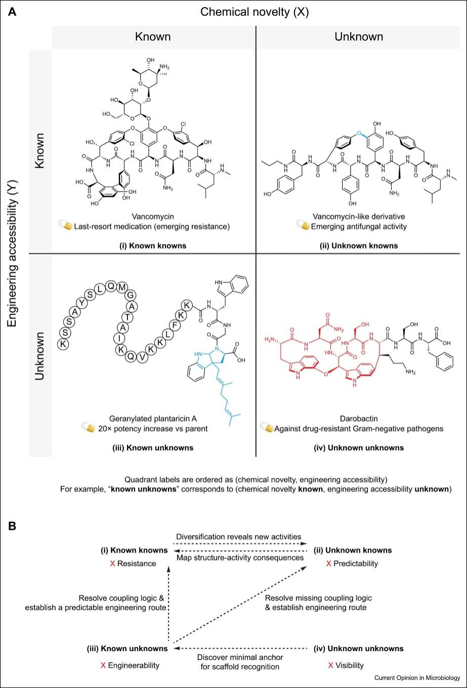 马克斯·普朗克—中国科学院合成生物化学联合研究中心双成果首发：提出天然产物四象限框架，并发现让细菌“断电”的新型抗生素