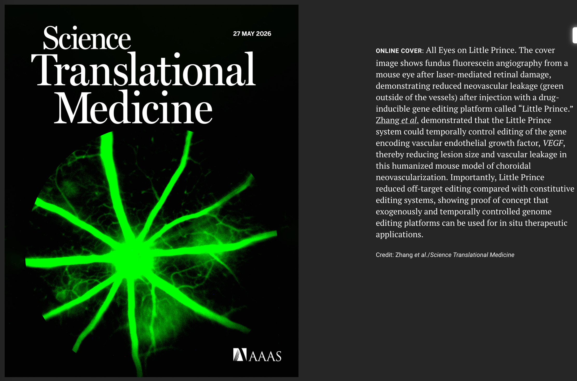 Sci Transl Med封面文章 | 王宇/洪佳旭团队报道化药协同指挥核酸药的“小王子”系统：双重开关实现CRISPR体内原位“主动可控”