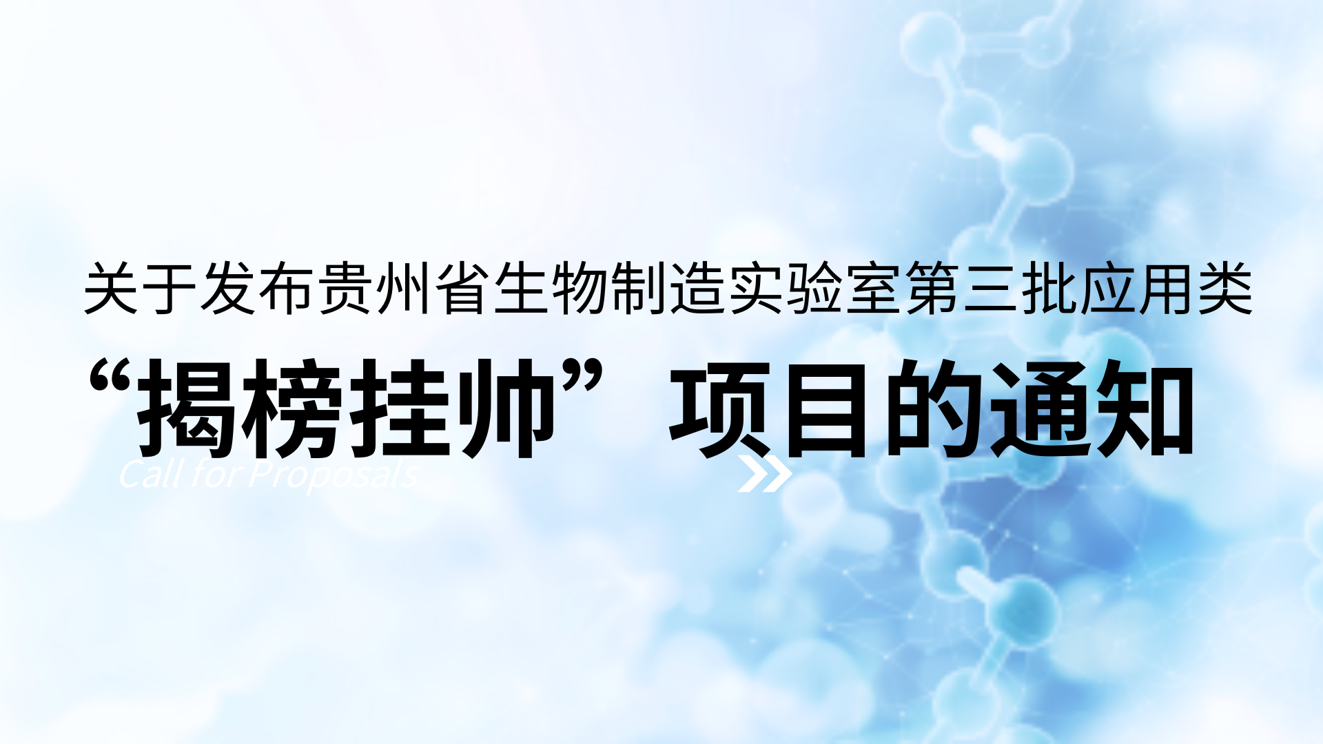 关于发布贵州省生物制造实验室第三批应用类“揭榜挂帅”项目的通知