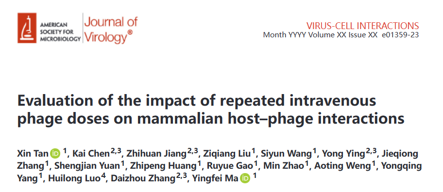Journal of Virology | 马迎飞团队构建噬菌体在动物体内的药代动力学曲线