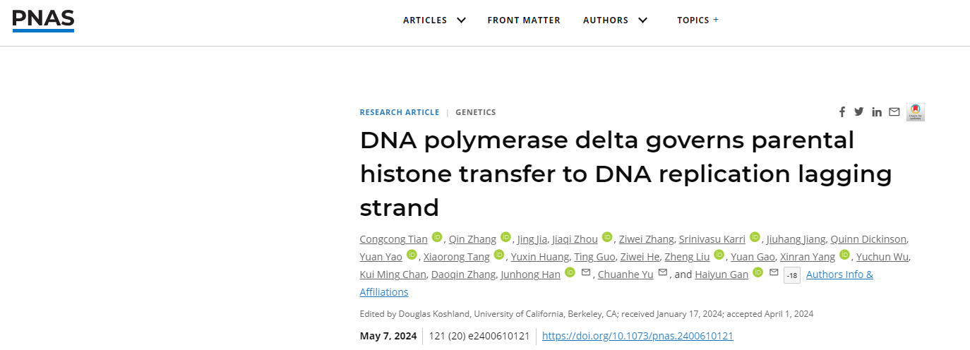 PNAS & NAR | 甘海云/于传贺/韩俊宏完成DNA复制偶联亲代组蛋白回收的最后一块拼图