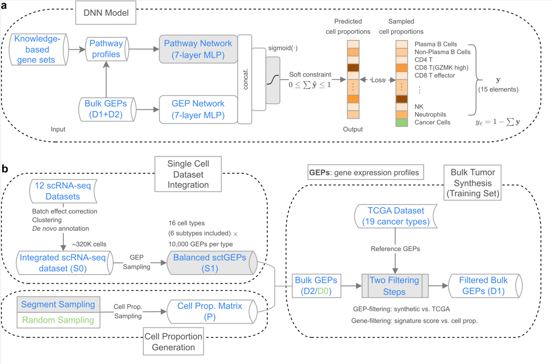 PNAS | 定量解构肿瘤微环境：DeSide助力多种肿瘤内细胞丰度的精准预测