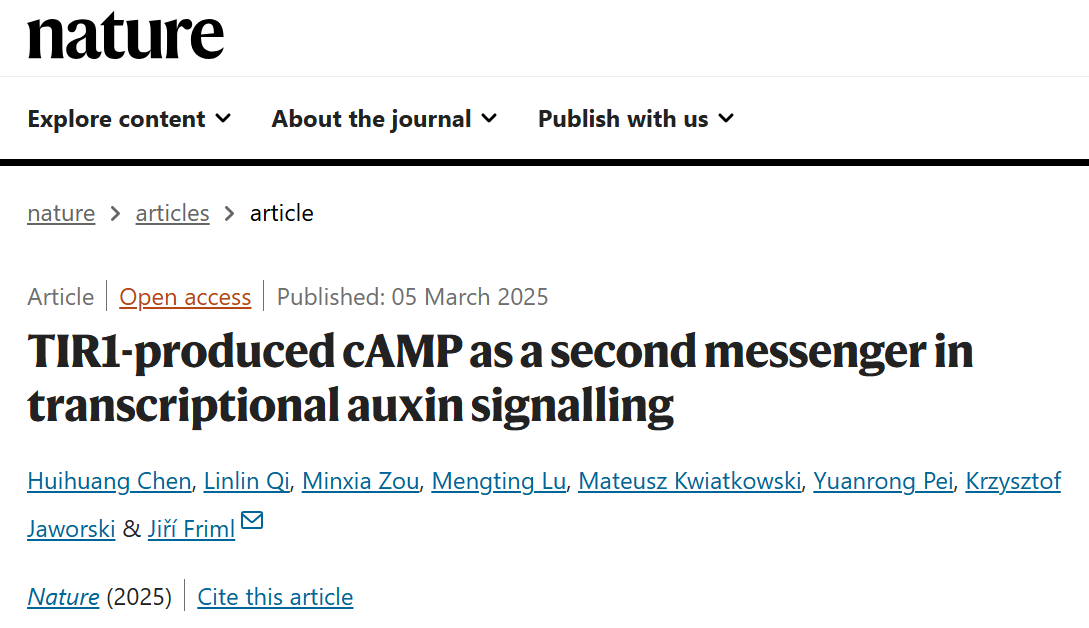 Nature丨祁林林教授《Nature》再发文：证实cAMP是生长素信号转导途径中的第二信使